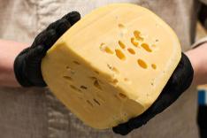 Знакомимся с твердыми сырами: виды и особенности